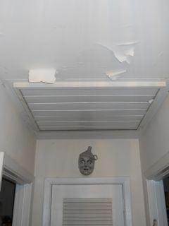 The Paint Was Peeling Off The Ceiling In This Building Science Mystery House.