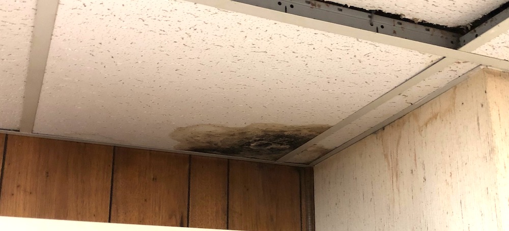 Evidence of water damage on a basement ceiling tile was another interesting mystery I figured out