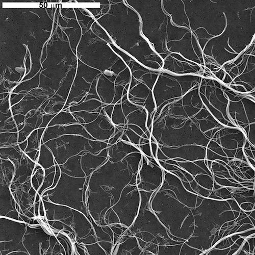 chrysotile asbestos sem image UICCA 500