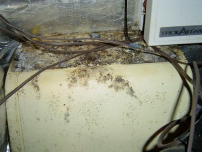 crawl space hvac humidifier moisture humidity