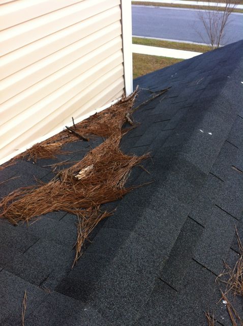 Roof sloping down toward a wall