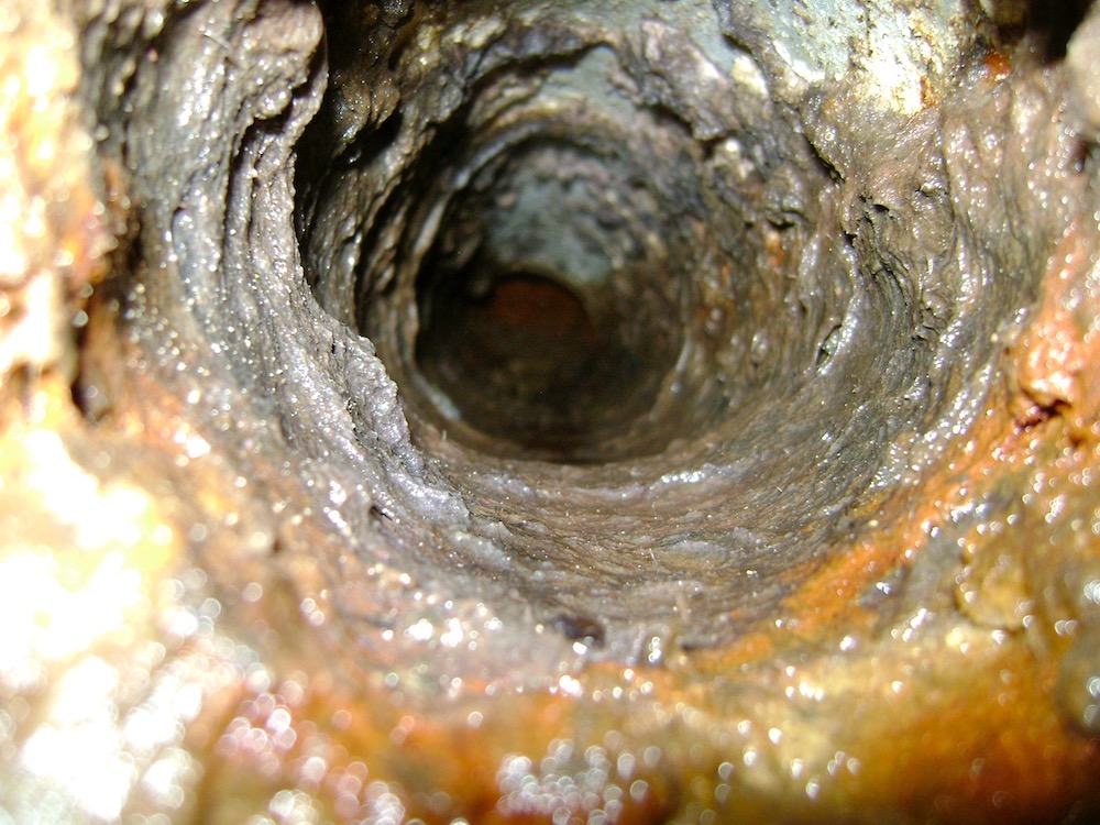 Biofilms inside a very wet dryer vent