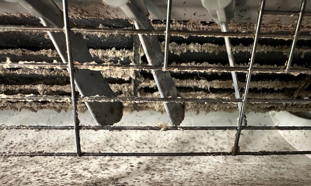 The Inside Of This Ductless Mini-split Got Nasty Dirty Over Four Years Of Use.