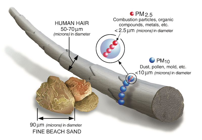 This EPA Sketch Shows What The Scale Of Particulate Matter, PM2.5 And PM10, Is