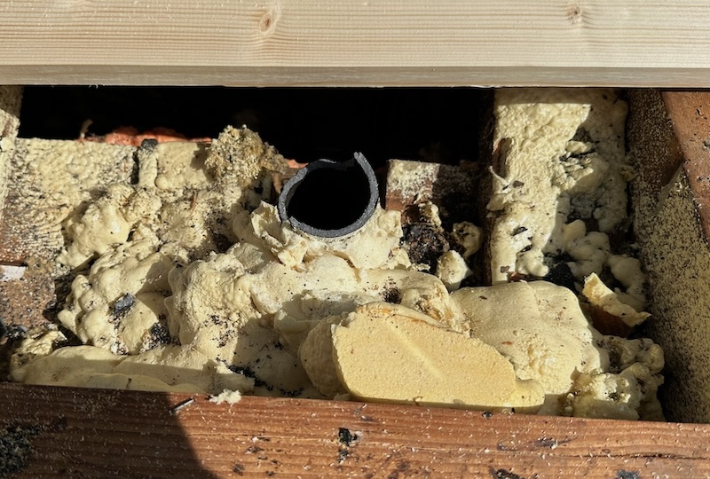 Plumbing stack pipe cut down below roof deck