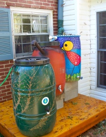 Southern Urban Homestead rain barrel rainwater catchment Allison Adams