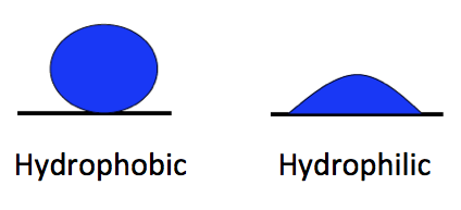 water liquid hydrophobic hydrophilic